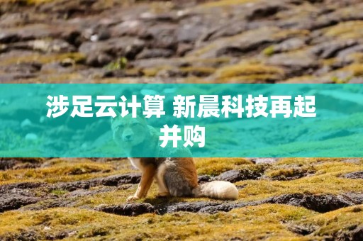 涉足云计算 新晨科技再起并购