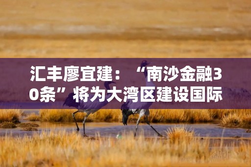 汇丰廖宜建：“南沙金融30条”将为大湾区建设国际金融枢纽和全球科创高地带来新的动力
