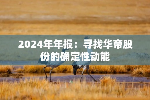 2024年年报：寻找华帝股份的确定性动能