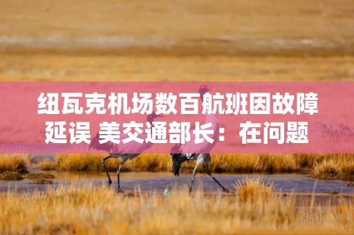 纽瓦克机场数百航班因故障延误 美交通部长：在问题解决前将削减运力