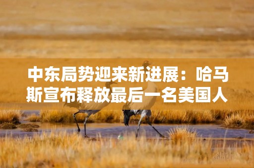 中东局势迎来新进展：哈马斯宣布释放最后一名美国人质！