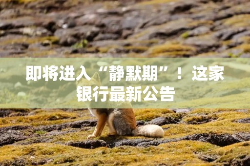 即将进入“静默期”！这家银行最新公告