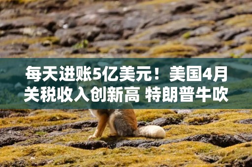 每天进账5亿美元！美国4月关税收入创新高 特朗普牛吹大了？
