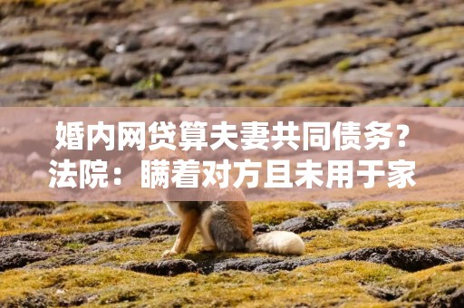 婚内网贷算夫妻共同债务？法院：瞒着对方且未用于家庭生活的不算