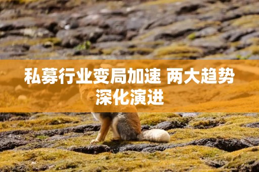 私募行业变局加速 两大趋势深化演进