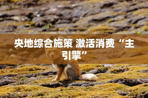 央地综合施策 激活消费“主引擎”