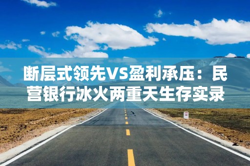 断层式领先VS盈利承压：民营银行冰火两重天生存实录