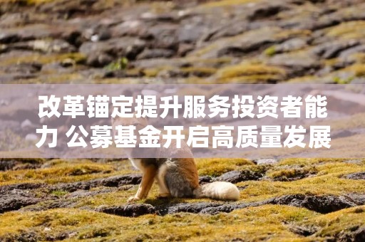 改革锚定提升服务投资者能力 公募基金开启高质量发展新篇章