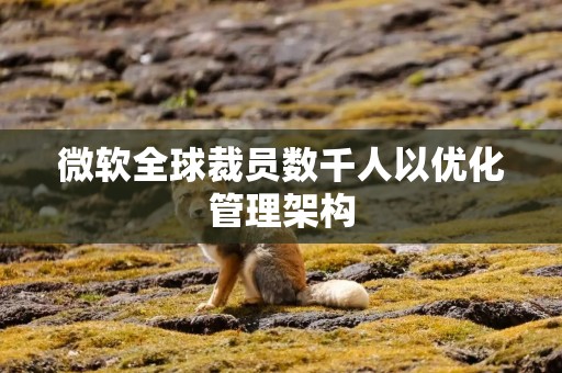 微软全球裁员数千人以优化管理架构