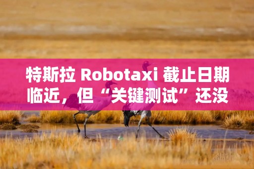 特斯拉 Robotaxi 截止日期临近，但“关键测试”还没做