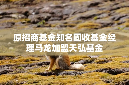 原招商基金知名固收基金经理马龙加盟天弘基金