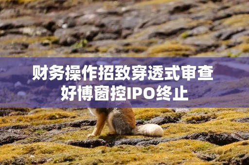 财务操作招致穿透式审查 好博窗控IPO终止
