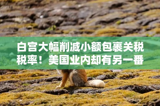 白宫大幅削减小额包裹关税税率！美国业内却有另一番见解