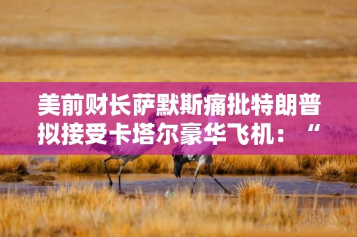 美前财长萨默斯痛批特朗普拟接受卡塔尔豪华飞机：“香蕉共和国级别的腐败”