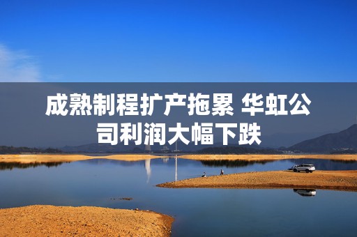 成熟制程扩产拖累 华虹公司利润大幅下跌