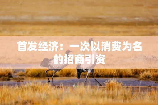 首发经济：一次以消费为名的招商引资
