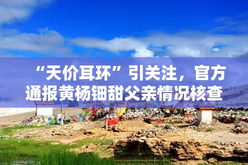 “天价耳环”引关注，官方通报黄杨钿甜父亲情况核查进展：被立案调查