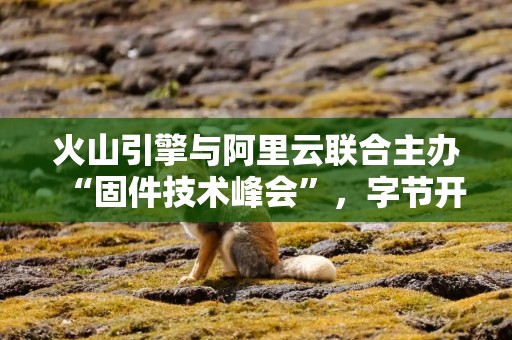 火山引擎与阿里云联合主办“固件技术峰会”，字节开源并发布云固件3.0解决方案