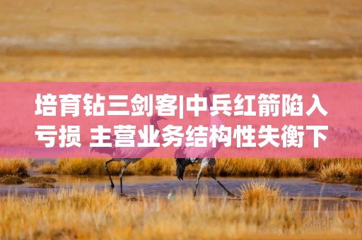 培育钻三剑客|中兵红箭陷入亏损 主营业务结构性失衡下的生存突围挑战