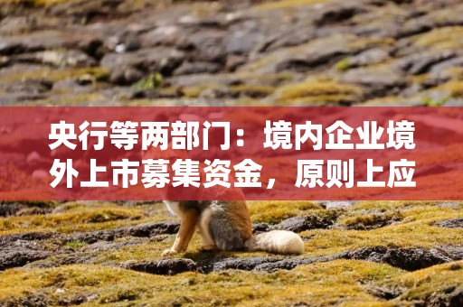 央行等两部门：境内企业境外上市募集资金，原则上应及时调回境内