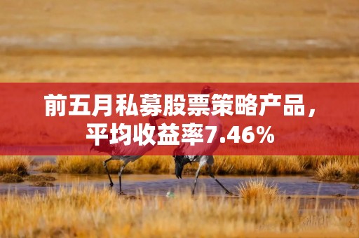 前五月私募股票策略产品，平均收益率7.46%
