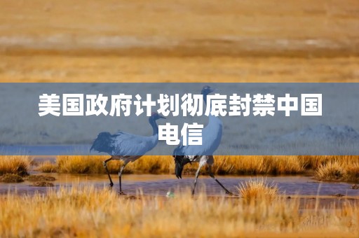 美国政府计划彻底封禁中国电信