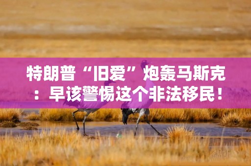特朗普“旧爱”炮轰马斯克：早该警惕这个非法移民！