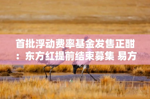 首批浮动费率基金发售正酣：东方红提前结束募集 易方达嘉实超3亿 交银万家不足亿