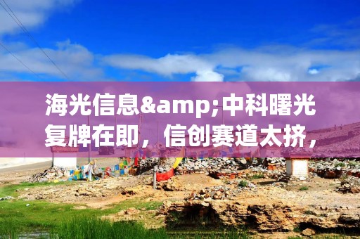 海光信息&中科曙光复牌在即，信创赛道太挤，还可以看看这个ETF！