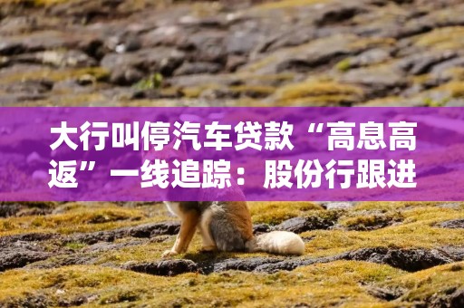 大行叫停汽车贷款“高息高返”一线追踪：股份行跟进调降优惠 多地出台自律公约