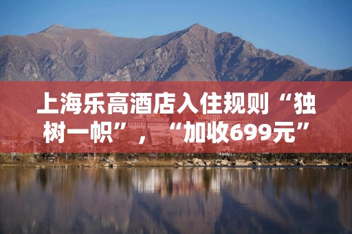 上海乐高酒店入住规则“独树一帜”，“加收699元”引质疑