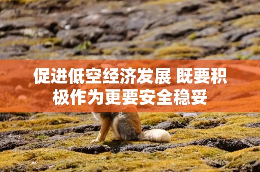 促进低空经济发展 既要积极作为更要安全稳妥
