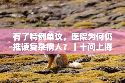 有了特例单议，医院为何仍推诿复杂病人？｜十问上海医保支付方式改革（下）