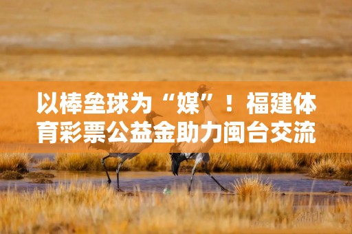 以棒垒球为“媒”！福建体育彩票公益金助力闽台交流合作