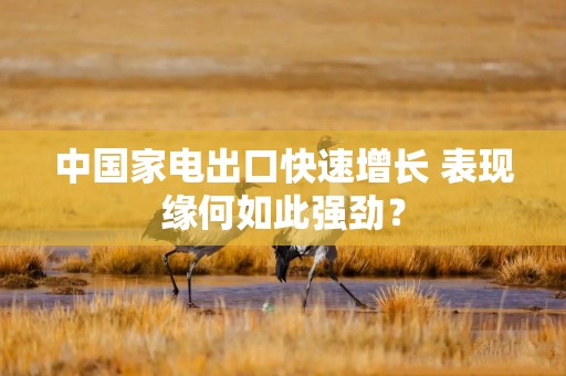 中国家电出口快速增长 表现缘何如此强劲？
