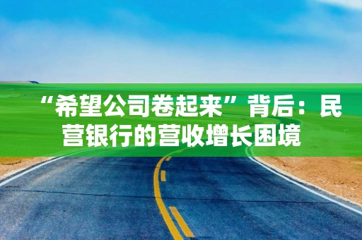 “希望公司卷起来”背后：民营银行的营收增长困境
