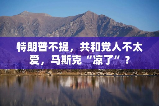 特朗普不提，共和党人不太爱，马斯克“凉了”？