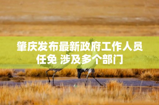 肇庆发布最新政府工作人员任免 涉及多个部门