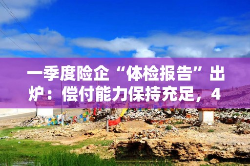 一季度险企“体检报告”出炉：偿付能力保持充足，4家机构因评级不达标亮红灯