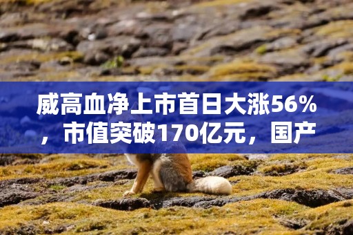 威高血净上市首日大涨56%，市值突破170亿元，国产血液净化龙头受热捧