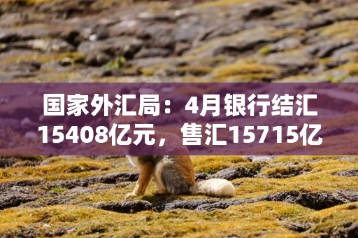 国家外汇局：4月银行结汇15408亿元，售汇15715亿元