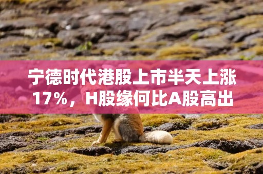 宁德时代港股上市半天上涨17%，H股缘何比A股高出7%？