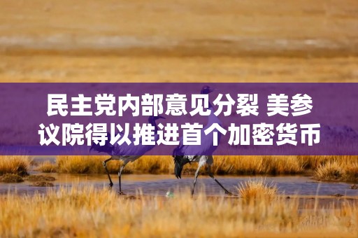 民主党内部意见分裂 美参议院得以推进首个加密货币立法