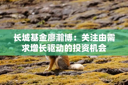 长城基金廖瀚博：关注由需求增长驱动的投资机会