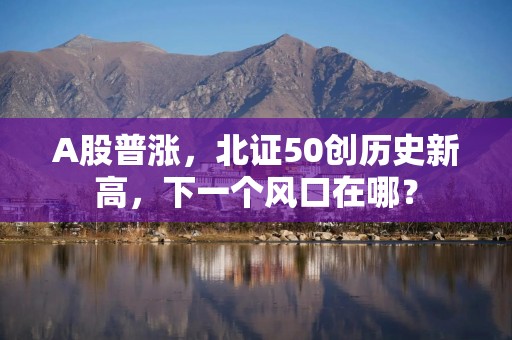A股普涨，北证50创历史新高，下一个风口在哪？