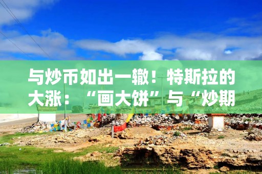 与炒币如出一辙！特斯拉的大涨：“画大饼”与“炒期权”