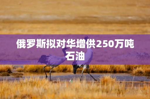 俄罗斯拟对华增供250万吨石油