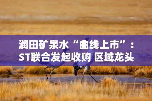 润田矿泉水“曲线上市”：ST联合发起收购 区域龙头困守与资本市场突围