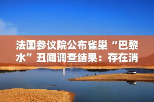 法国参议院公布雀巢“巴黎水”丑闻调查结果：存在消费者欺诈行为