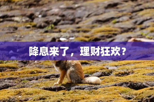 降息来了，理财狂欢？
